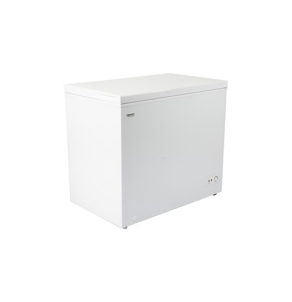 EPCOM POWERLINE EPLFZ250V2 EPLFZ250V2 Congelador 250 L para aplicaciones fotovoltaica