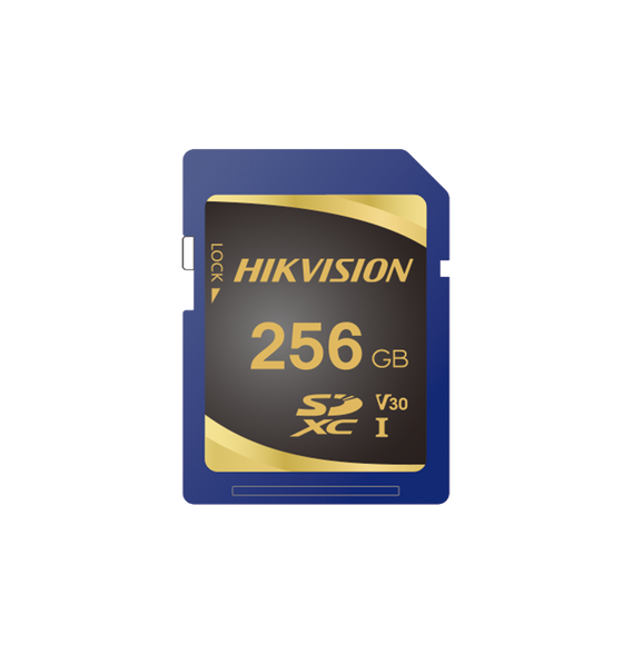 HIKVISION HSSDP10256G HS-SD-P10/256G Memoria SD Clase 10 de 256 GB / Especializada Pa