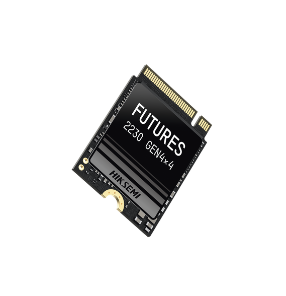 HIKSEMI by HIKVISION HSSSDFUTURES1024G HS-SSD-FUTURES/1024G Unidad de Estado Sólido (