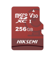 HIKSEMI by HIKVISION HSTFE1256G HS-TF-E1/256G Memoria microSD / Clase 10 de 256 GB /