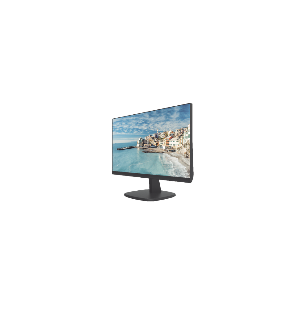 HIKVISION DSD5024FN DS-D5024FN Monitor LED Full HD de 23.8  / Ideal para Oficina y Ho