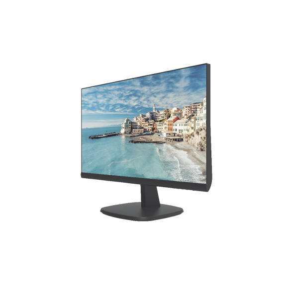 HIKVISION DSD5024FN DS-D5024FN Monitor LED Full HD de 23.8  / Ideal para Oficina y Ho