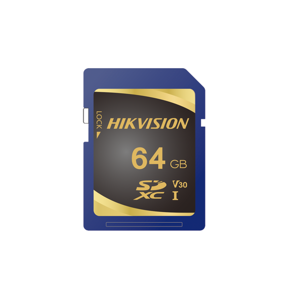 HIKVISION HSSDP1064G HS-SD-P10/64G Memoria SD Clase 10 de 64 GB / Especializada Para