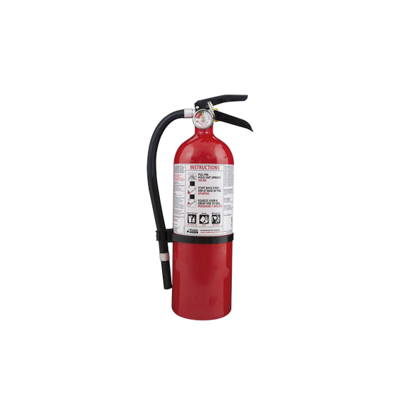 KIDDE FX210R FX210R Extintor Desechable de Polvo Químico Seco ? Fuegos Clase A B y C?