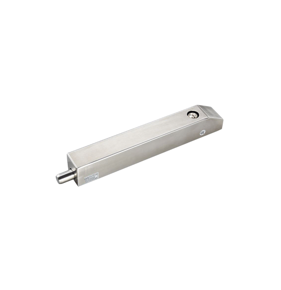 AccessPRO PROEB900C PROEB900C Cerradura de Perno para exterior / 2000 kg de Sujeción