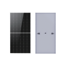 LONGI LR772HTH610M LR772HTH610M Modulo Solar HI-MO X6 MAX  610 W 52.42 Vcc Monocrista