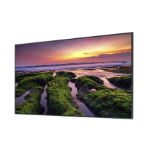 SAMSUNG ELECTRONICS QB75C QB75C Pantalla Profesional LED de 75 UHD 4K (3840x2160p) En