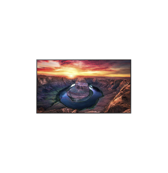 SAMSUNG ELECTRONICS QM55C QM55C Pantalla Profesional LED de 55 UHD 4K (3840x2160p) En