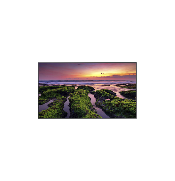 SAMSUNG ELECTRONICS QB55C QB55C Pantalla Profesional LED de 55 UHD 4K (3840x2160p) En
