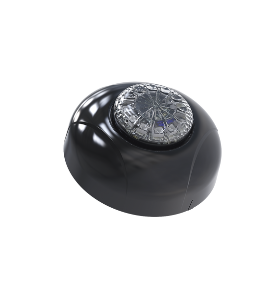 SIGNALPRO SPF12W SPF12W Estrobo Oculto de 12 LED Brida negra 12 Vcd Clara Lente trans