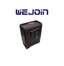 WEJOIN WJDG102 - Sensor de masa vehicular para barrera de control de acceso TVB017001