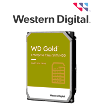 WESTERN WD102KRYZ- Disco duro 10 TB/ Serie Gold/ Sata 6 GBS/ Recomendado para video v