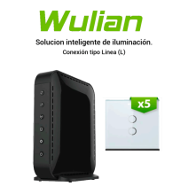 WULIAN BV6IL5L -  Paquete Para Control De Iluminacion con 5 Apagadores Dobles solo Li