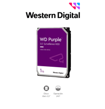 WESTERN WD11PURZ - Disco Duro de 1TB Purple/ Especial Para Videovigilancia/ Trabajo 2