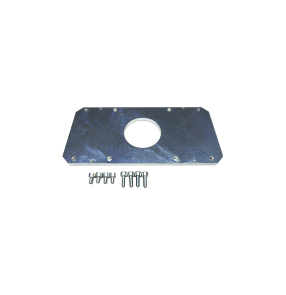 CAME 119RIG131 119RIG131  PLACA MEDIA DE BARRERA GARD 8